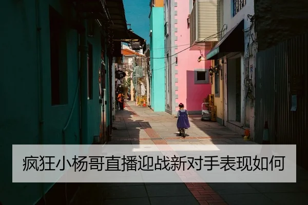疯狂小杨哥直播迎战新对手表现如何