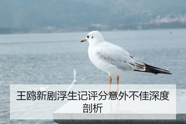 王鸥新剧浮生记评分意外不佳深度剖析